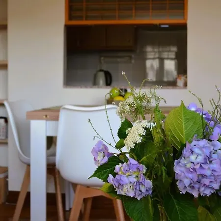 Explora A Pie Apartamento Oviedo